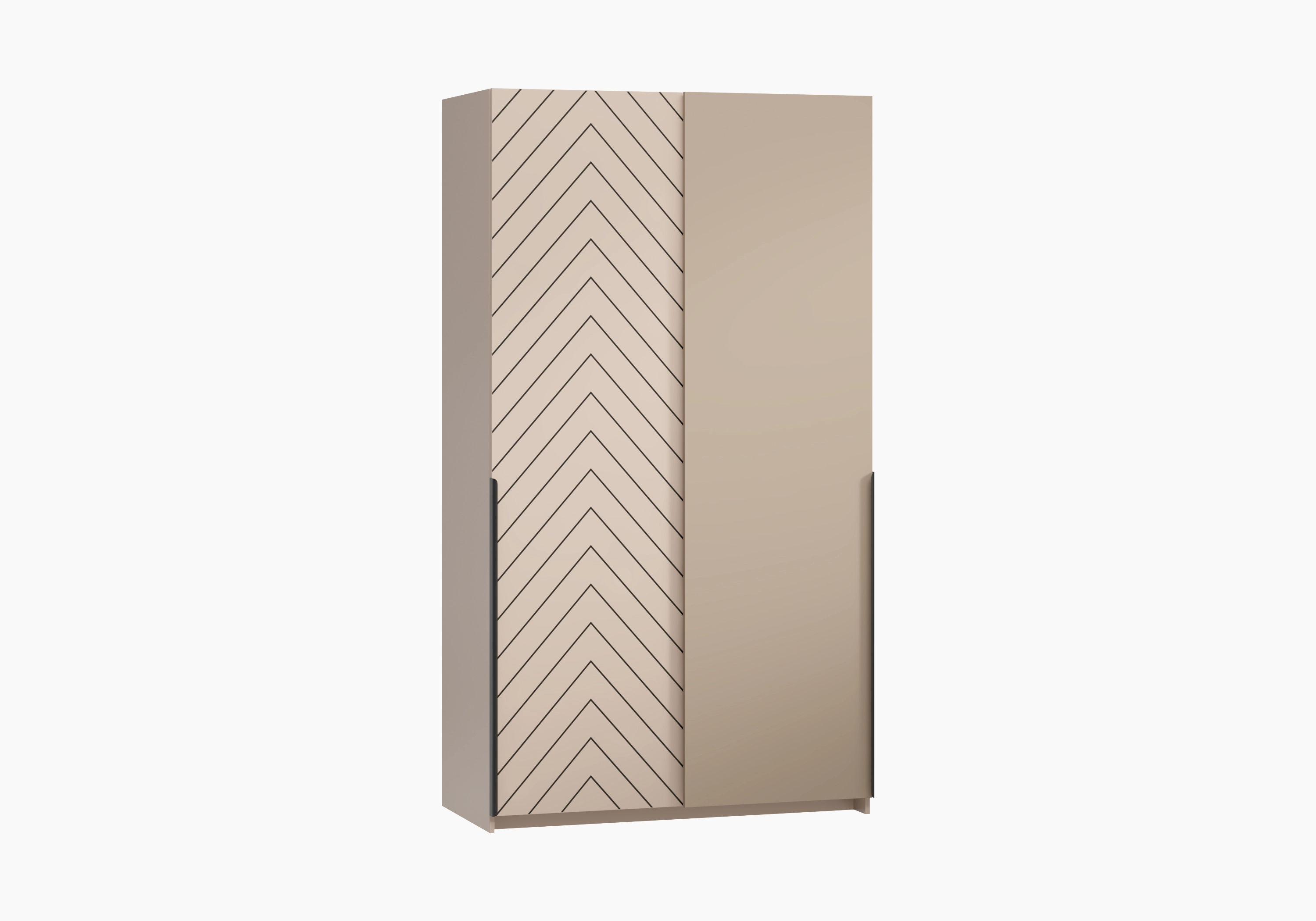 Шкаф-купе Салленс-2-3 Декор 1