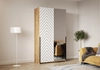 Шкаф-купе Салленс-2-2 Декор 1 - фото №1