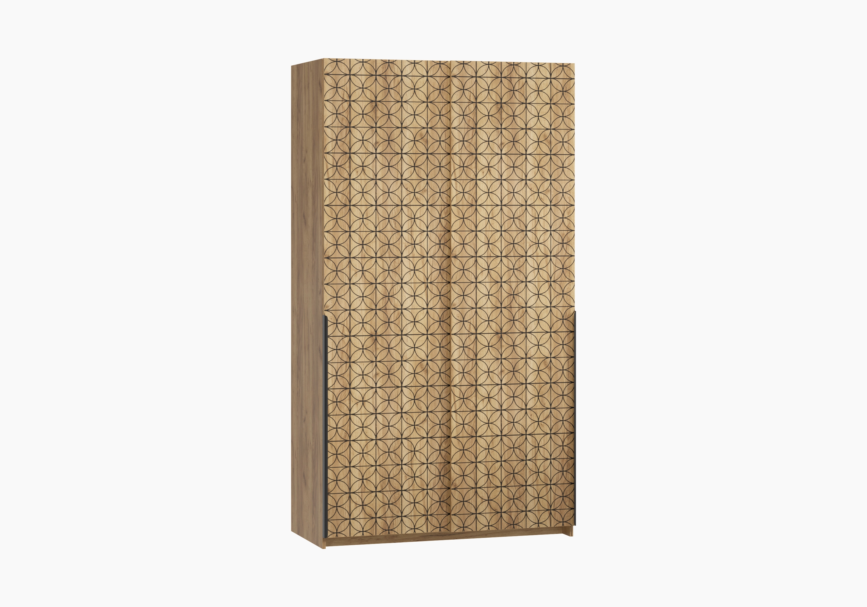 Шкаф-купе Салленс-2-1 Декор 3