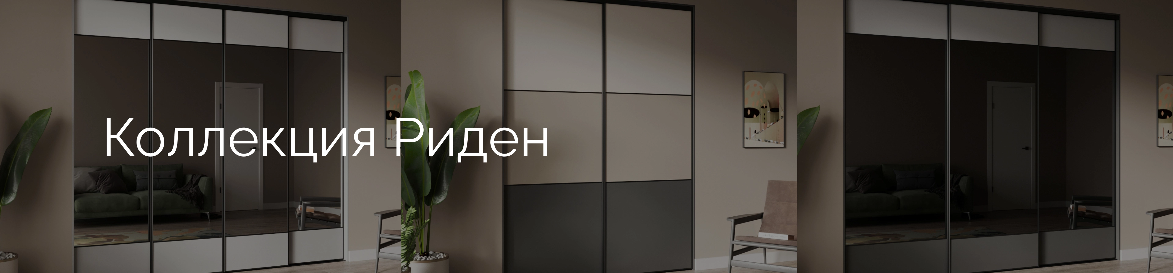 promo-banner