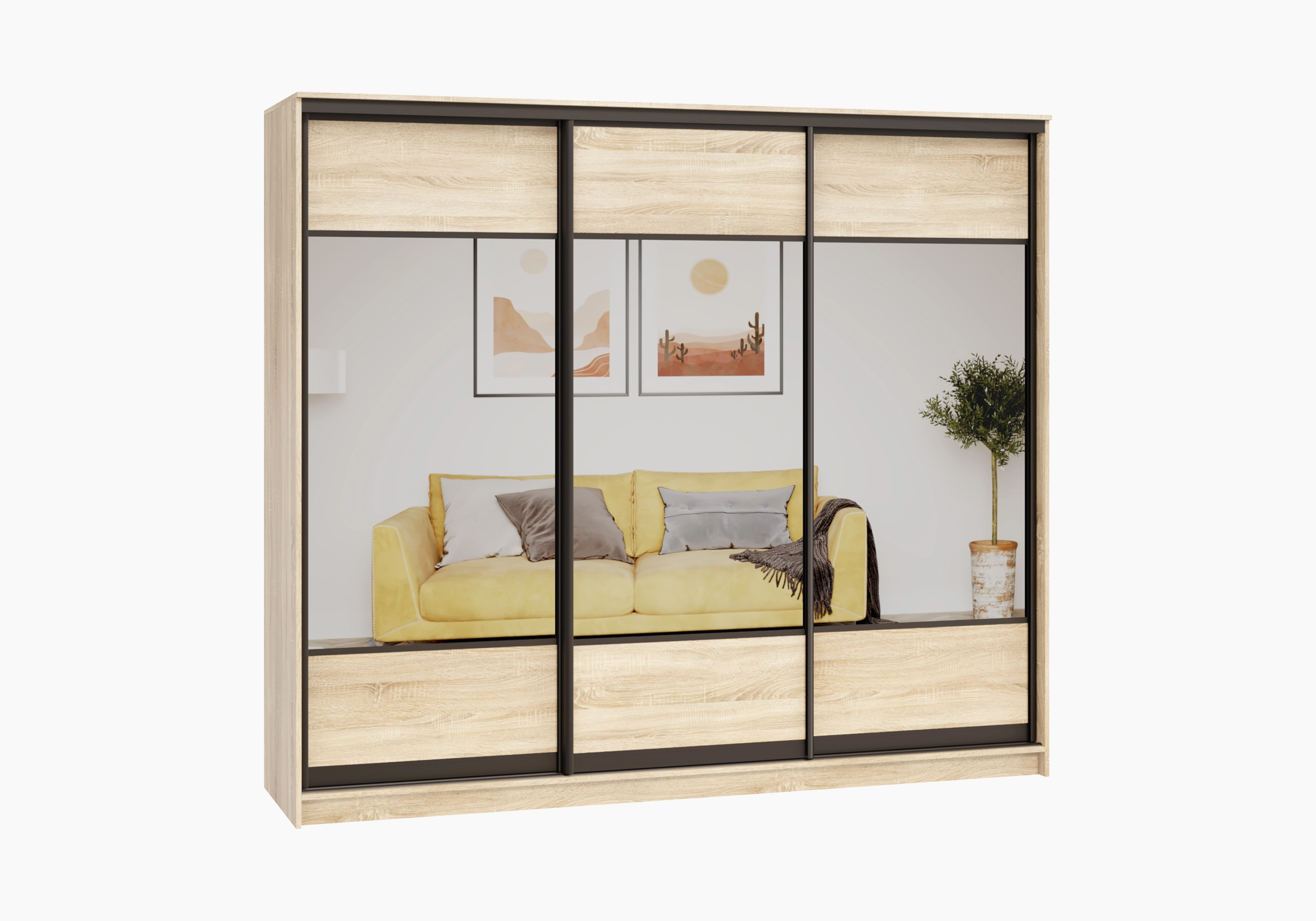 Шкаф-купе Борден-3-1