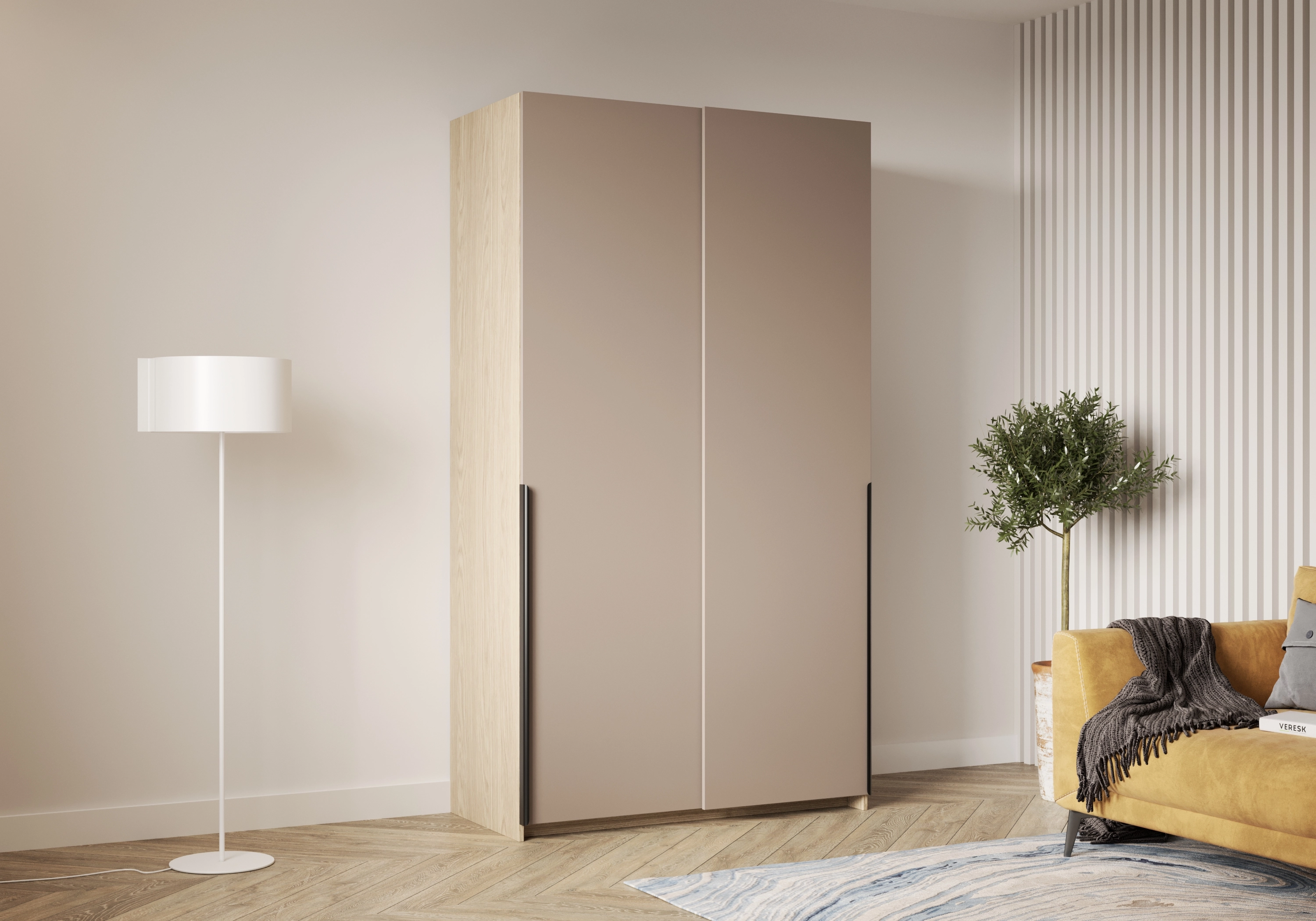 Шкаф-купе Салленс-2-1