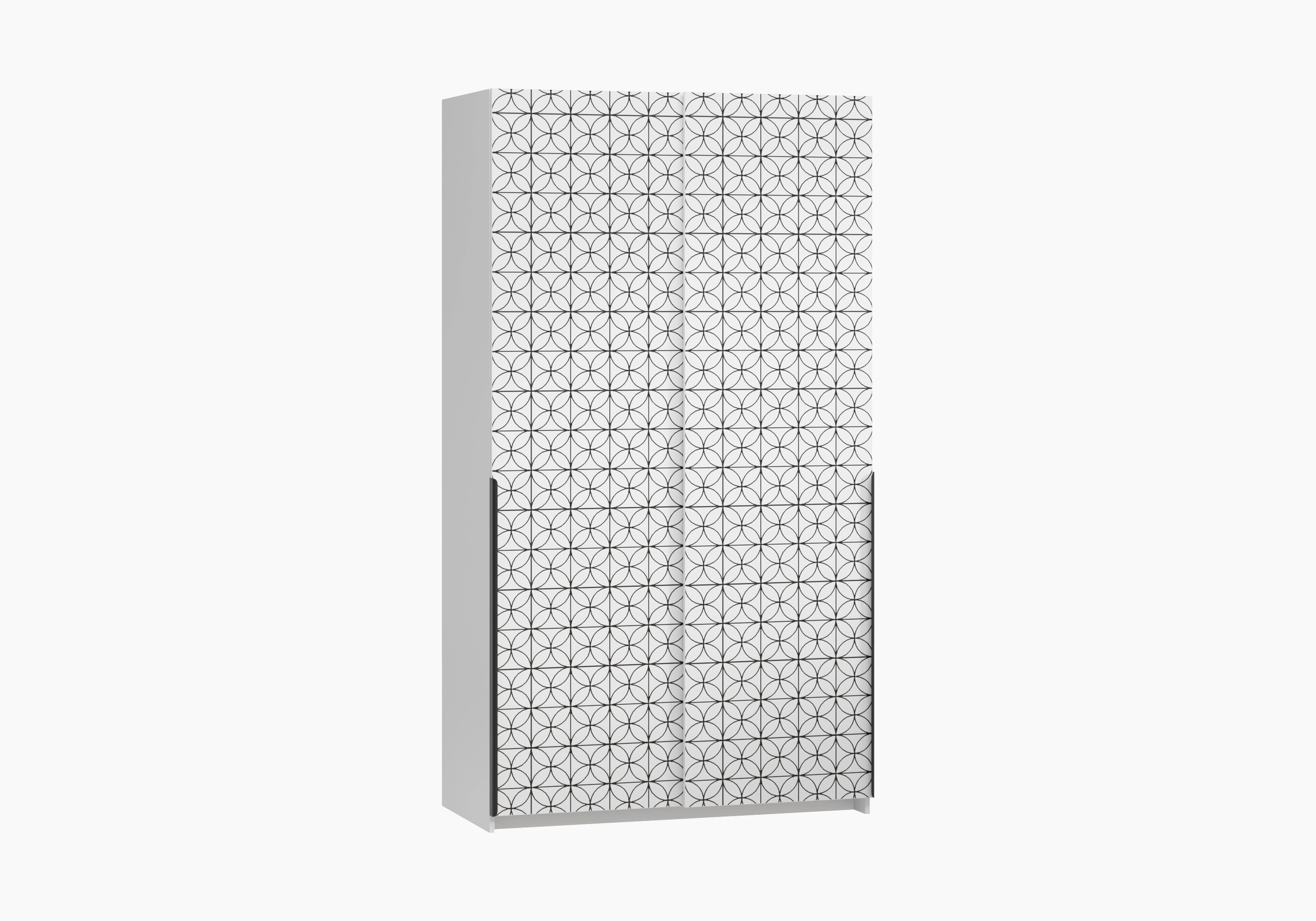 Шкаф-купе Салленс-2-1 Декор 3