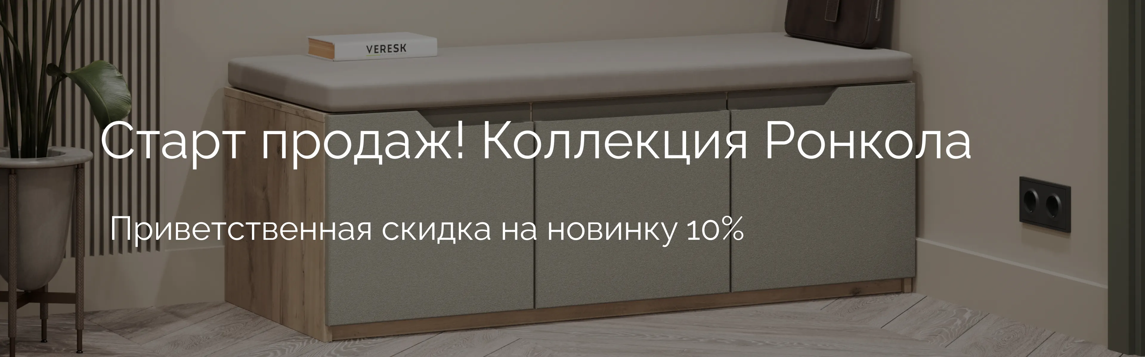 promo-banner