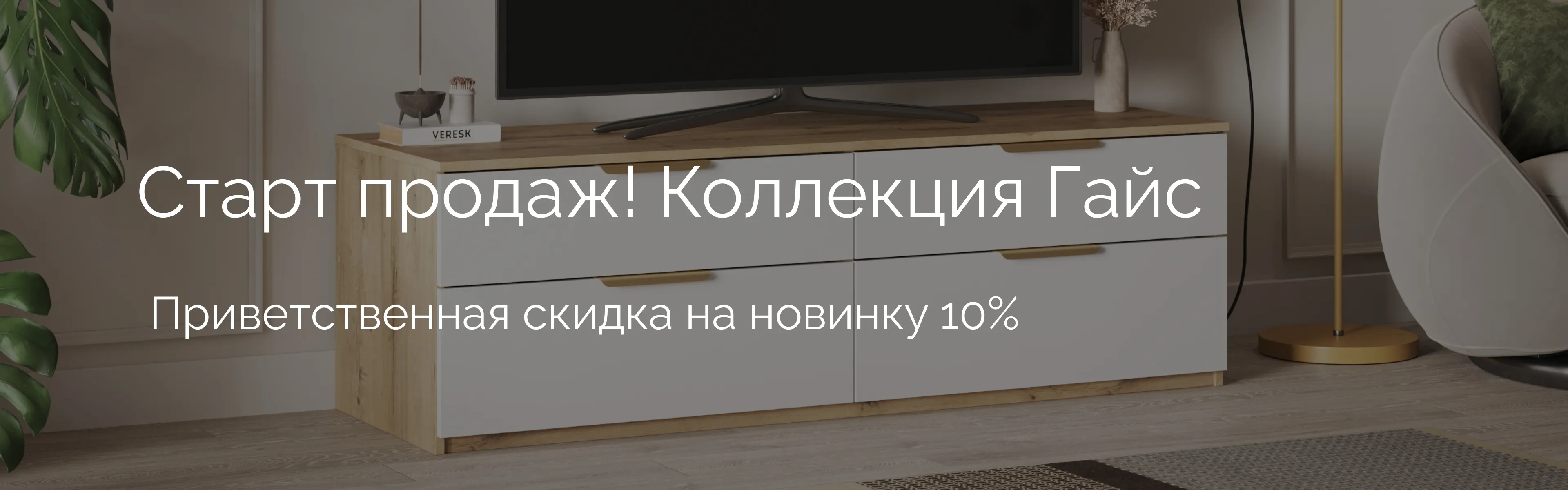promo-banner