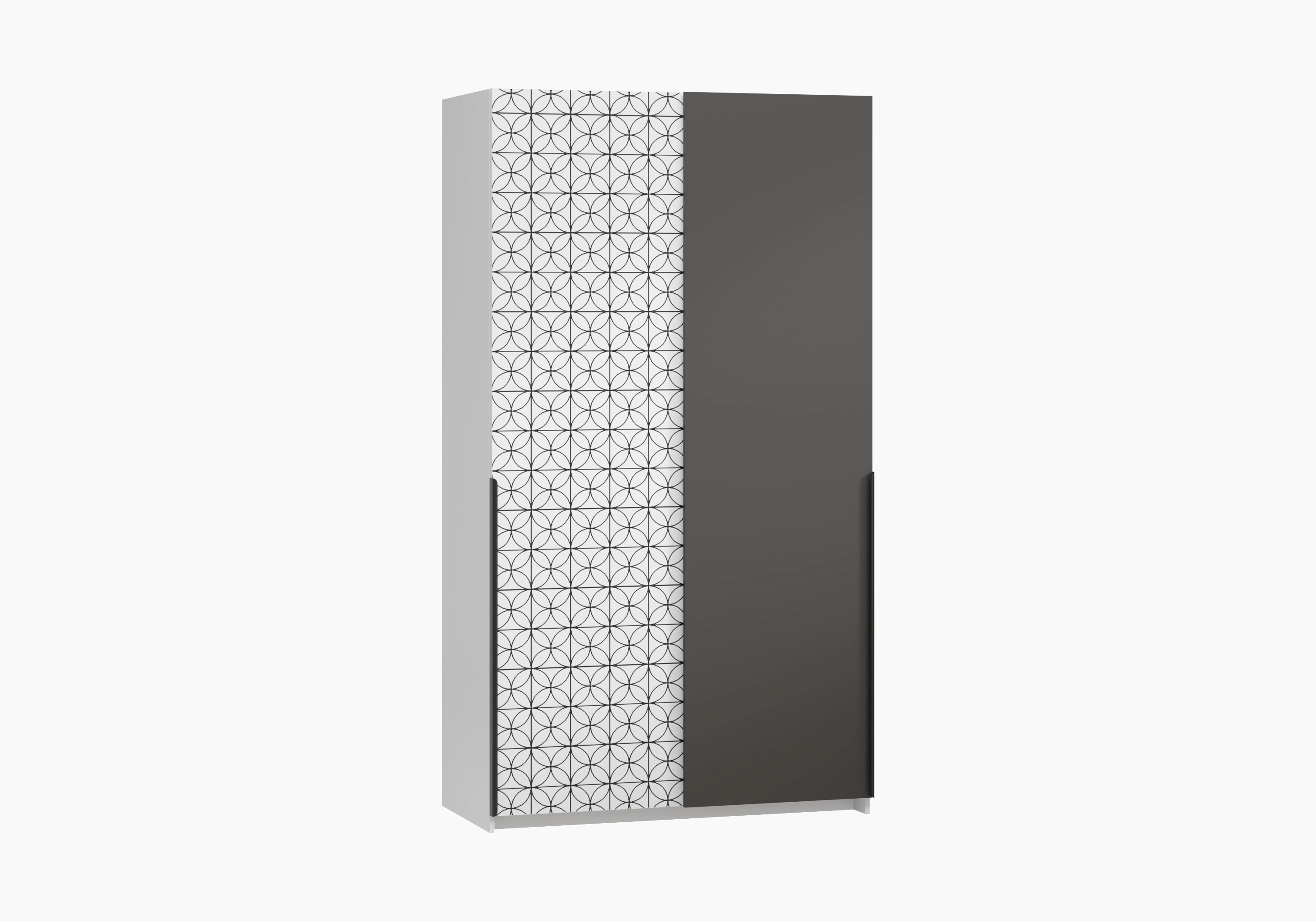 Шкаф-купе Салленс-2-3 Декор 3