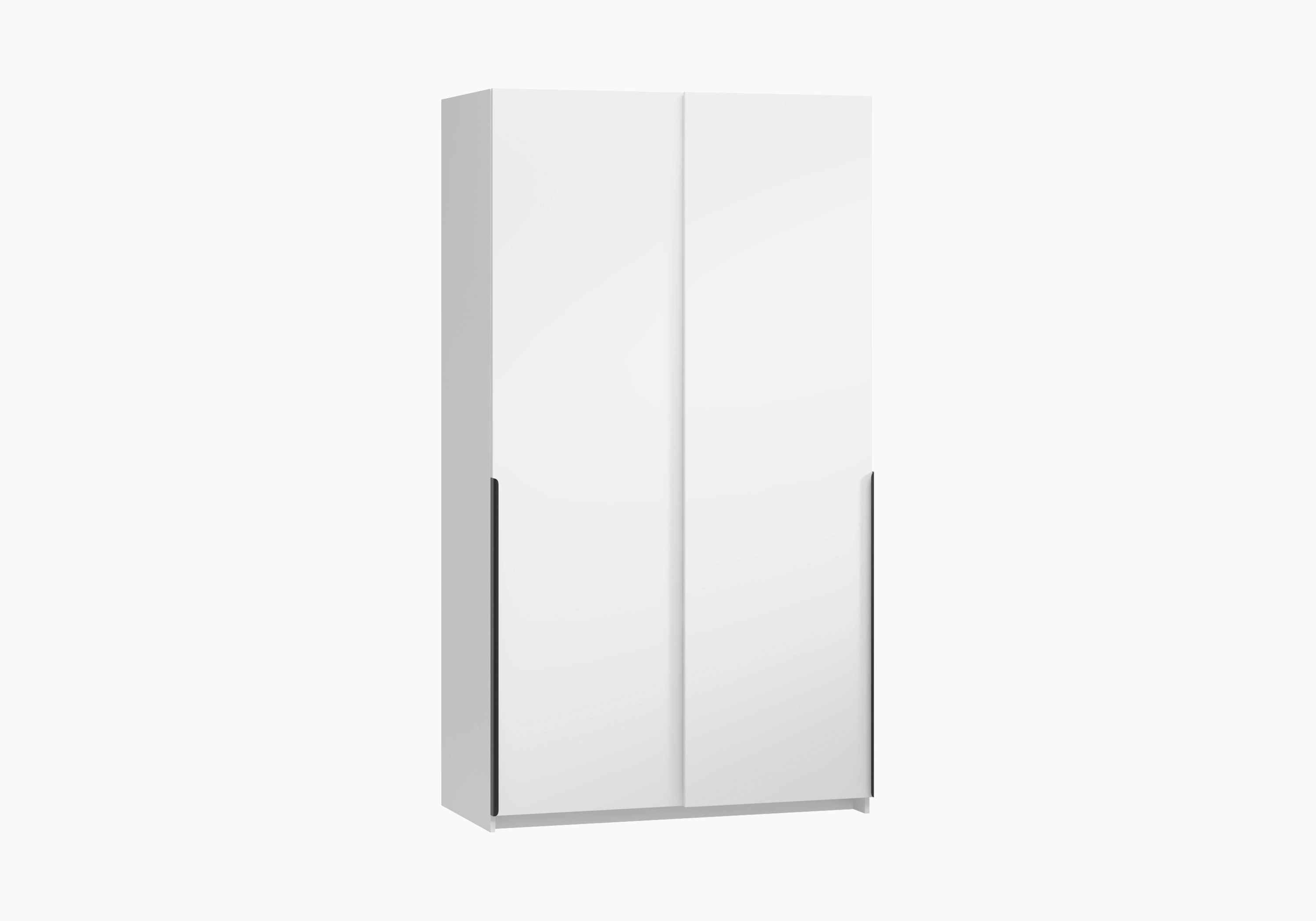 Шкаф-купе Салленс-2-1