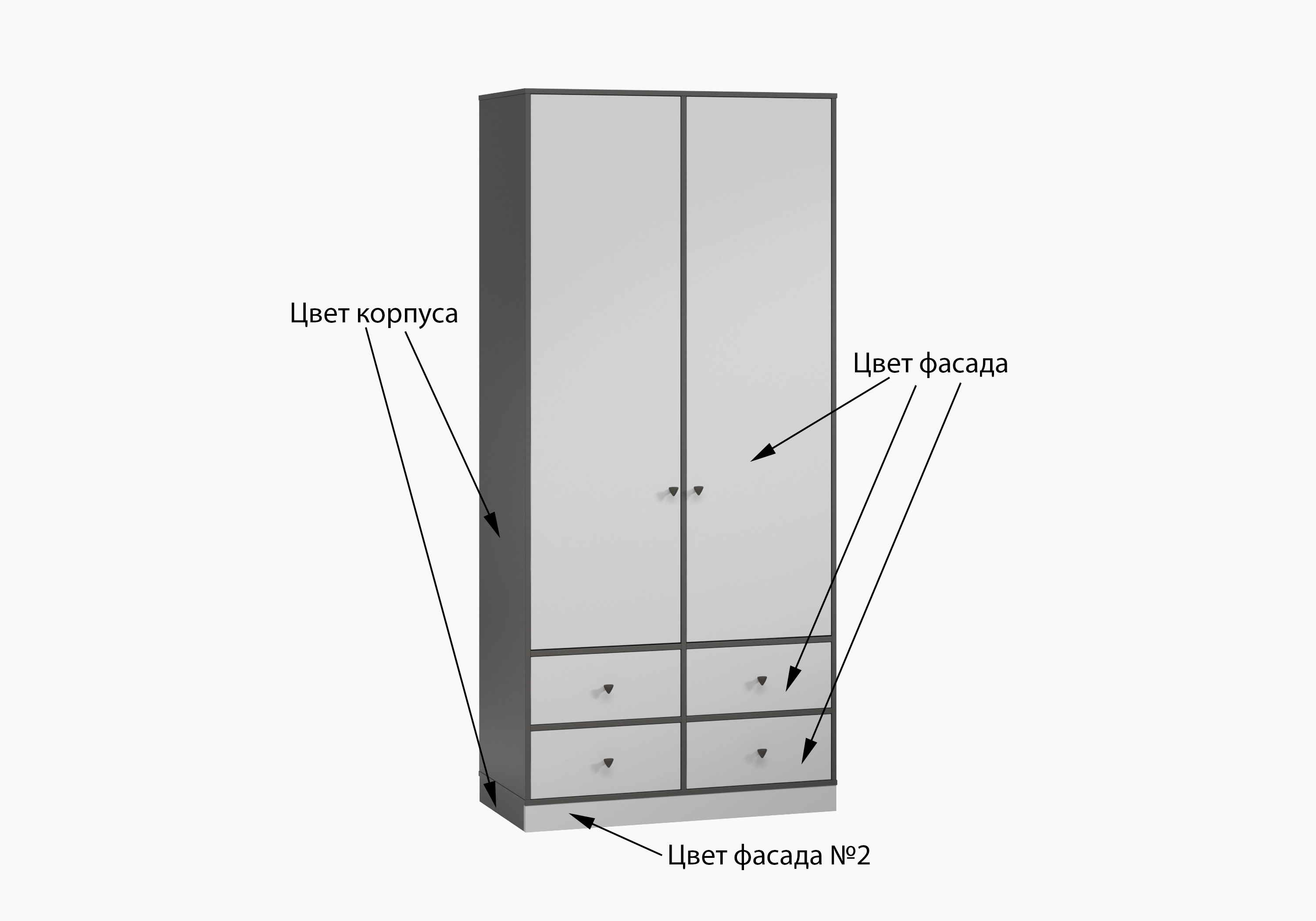 Распашной шкаф Виггинс-2.2